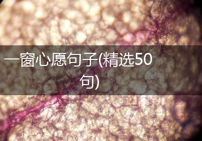 一窗心愿句子(精选50句)