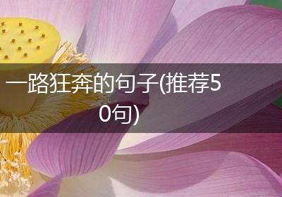 一路狂奔的句子(推荐50句)