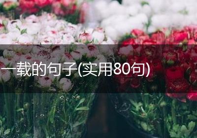 一载的句子(实用80句)