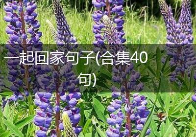 一起回家句子(合集40句)