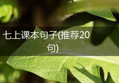 七上课本句子(推荐20句)
