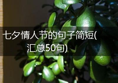 七夕情人节的句子简短(汇总50句)