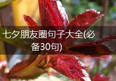 七夕朋友圈句子大全(必备30句)