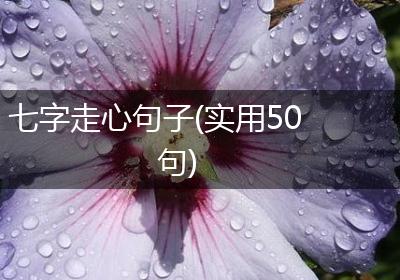 七字走心句子(实用50句)
