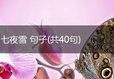 七夜雪 句子(共40句)