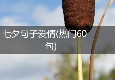 七夕句子爱情(热门60句)