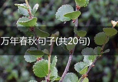 万年春秋句子(共20句)