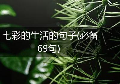 七彩的生活的句子(必备69句)
