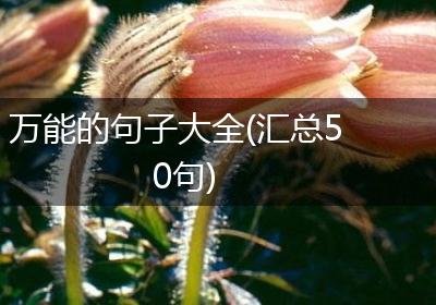 万能的句子大全(汇总50句)
