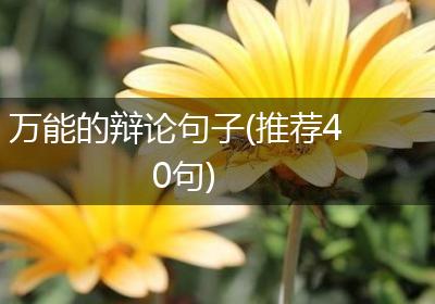 万能的辩论句子(推荐40句)
