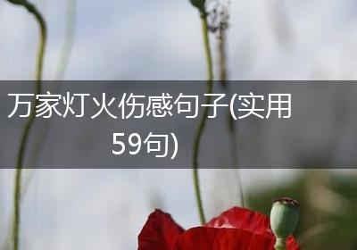 万家灯火伤感句子(实用59句)