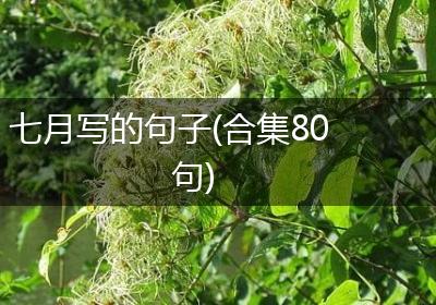 七月写的句子(合集80句)