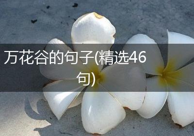 万花谷的句子(精选46句)