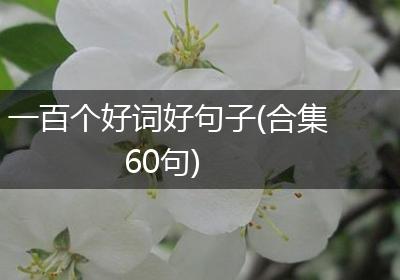一百个好词好句子(合集60句)