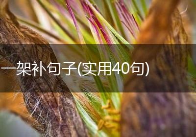 一架补句子(实用40句)