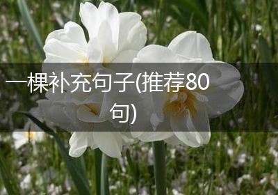 一棵补充句子(推荐80句)