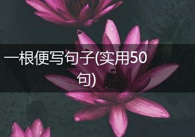 一根便写句子(实用50句)