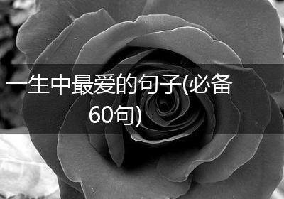 一生中最爱的句子(必备60句)