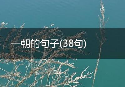 一朝的句子(38句)