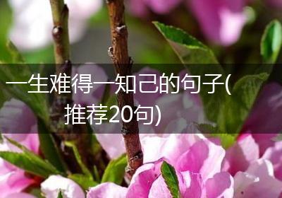 一生难得一知己的句子(推荐20句)