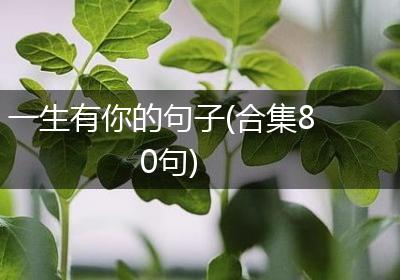 一生有你的句子(合集80句)
