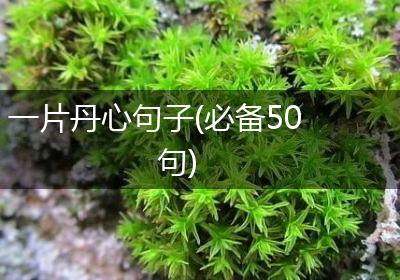 一片丹心句子(必备50句)
