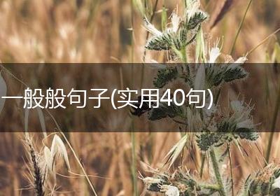一般般句子(实用40句)