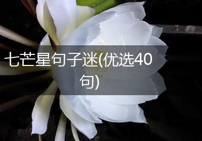 七芒星句子迷(优选40句)