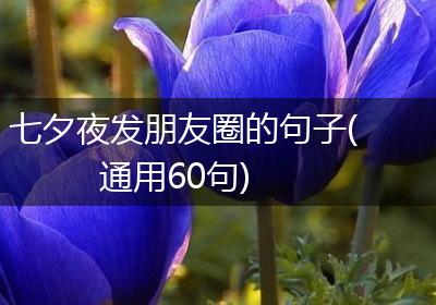 七夕夜发朋友圈的句子(通用60句)