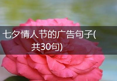 七夕情人节的广告句子(共30句)