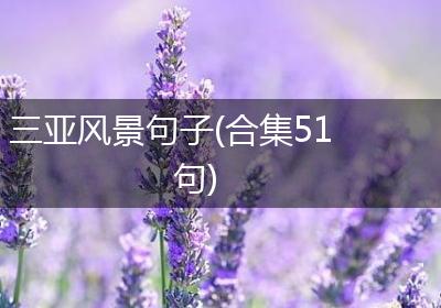 三亚风景句子(合集51句)