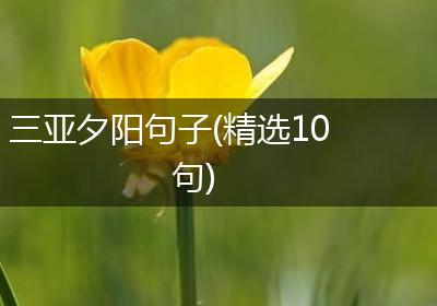 三亚夕阳句子(精选10句)