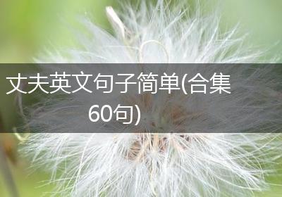 丈夫英文句子简单(合集60句)