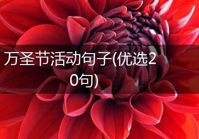 万圣节活动句子(优选20句)