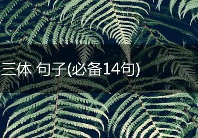 三体 句子(必备14句)