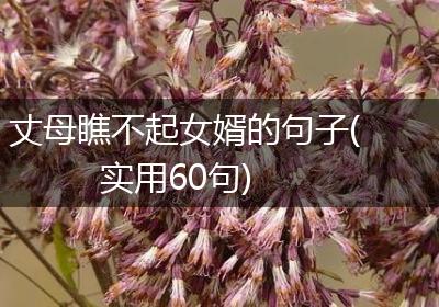 丈母瞧不起女婿的句子(实用60句)
