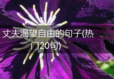 丈夫渴望自由的句子(热门20句)