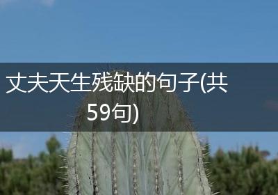 丈夫天生残缺的句子(共59句)
