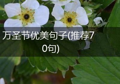 万圣节优美句子(推荐70句)