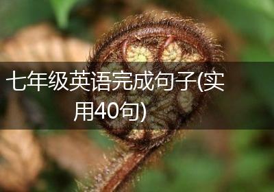 七年级英语完成句子(实用40句)
