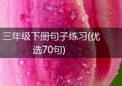 三年级下册句子练习(优选70句)