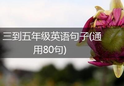 三到五年级英语句子(通用80句)