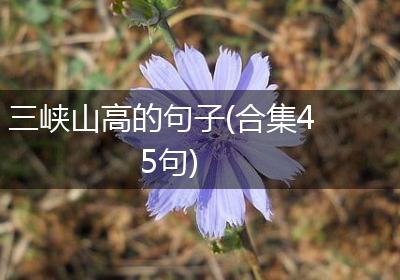 三峡山高的句子(合集45句)