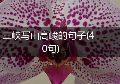 三峡写山高峻的句子(40句)