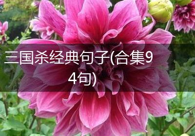 三国杀经典句子(合集94句)