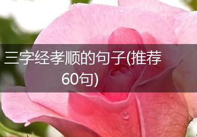 三字经孝顺的句子(推荐60句)