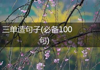 三单造句子(必备100句)