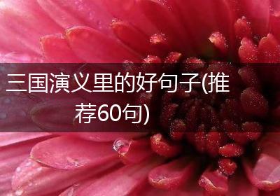 三国演义里的好句子(推荐60句)