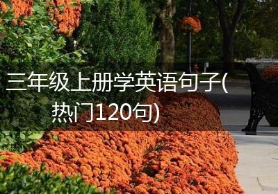 三年级上册学英语句子(热门120句)
