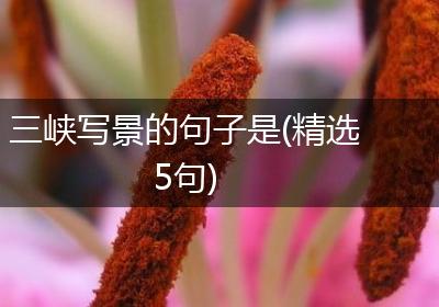 三峡写景的句子是(精选5句)
